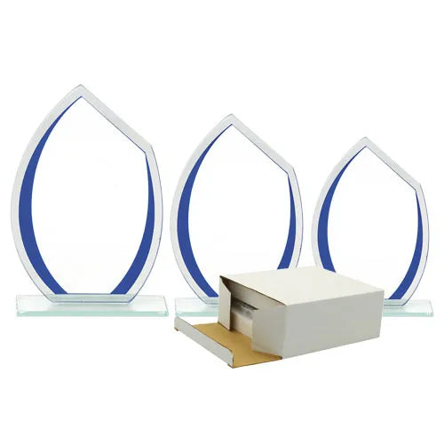 Ce trophée en verre au design sobre et élégant avec ces bords de couleur bleue et argentée est idéal pour mettre en valeur une gravure personnalisée (logo, texte ou message).
Image des 3 trophées
