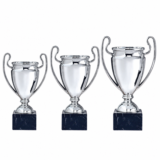 CP10 en métal et PVC disponible en 3 tailles de couleur argenté
Mini trophée et coupe style league des champions en pvc
Mini coupe
Football
Coupe pas cher
Coupe d'excellente qualité
TopTrophy - Suisse