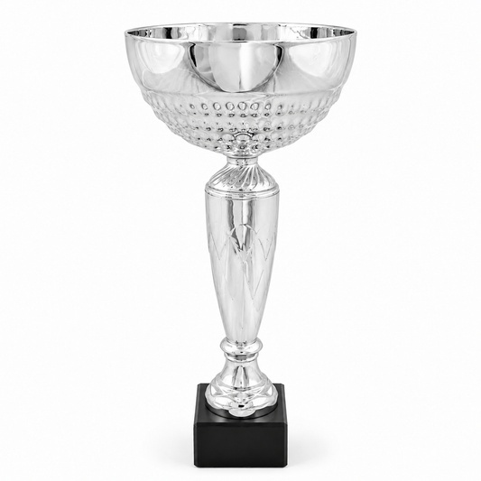 CP114 coupe métal et pvc et 3 tailles couleur argenté, personnalisable
Coupe de qualité
TopTrophy - Suisse