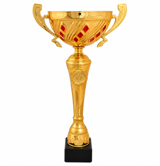 cp120 couleur doré et rouge avec anses  prestige en 3 tailles 28.5 à 30.5 cm - personnalisable
Métal et PVC
Coupe Course à pied
Coupe sportive
Coupe de sport
TopTrophy - Suisse